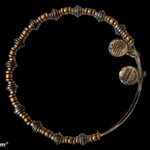 Alex and ani silver and gold tone bangle